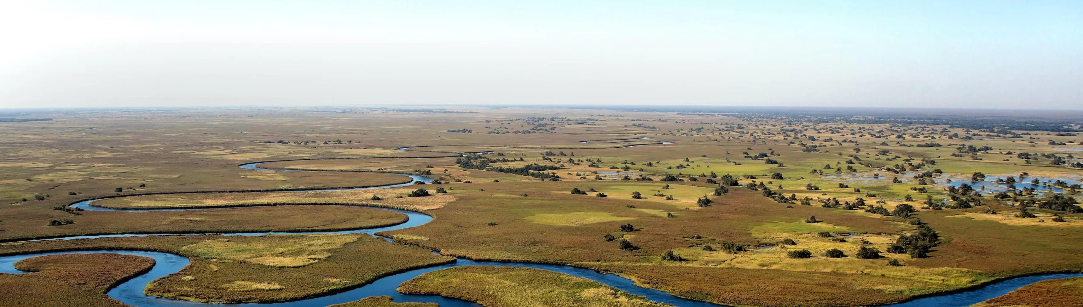 Botswana landscape