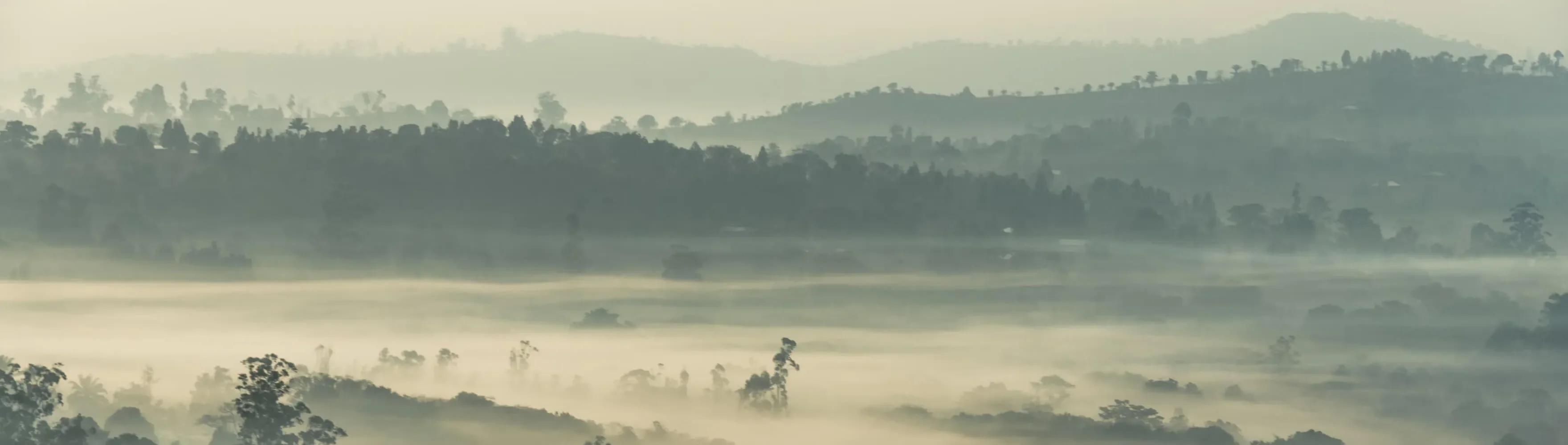 Cameroon landscape