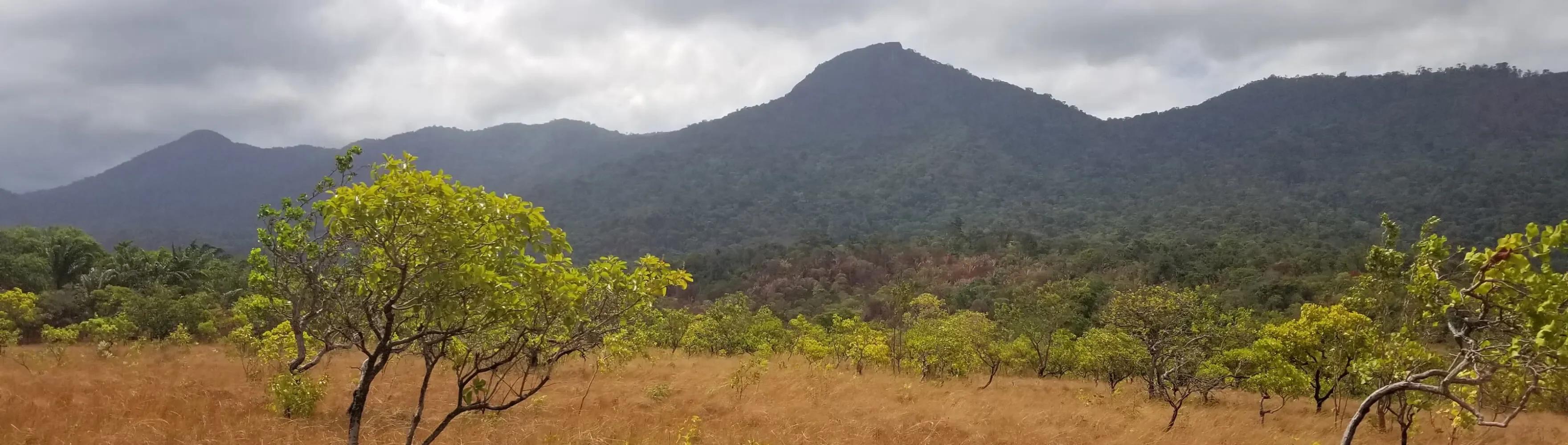 Guyana landscape