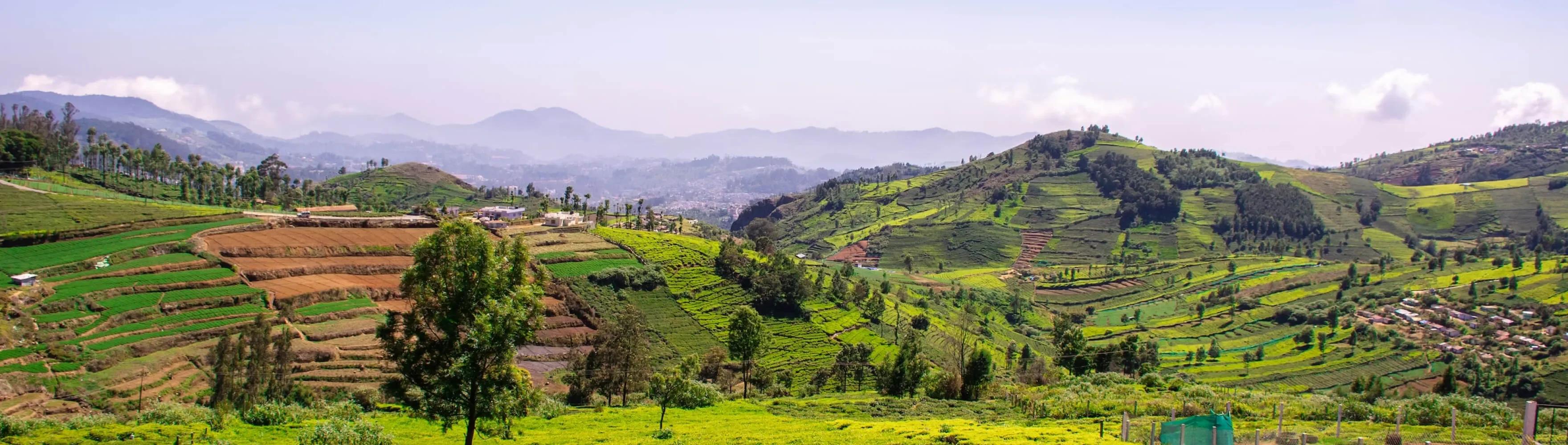 India landscape