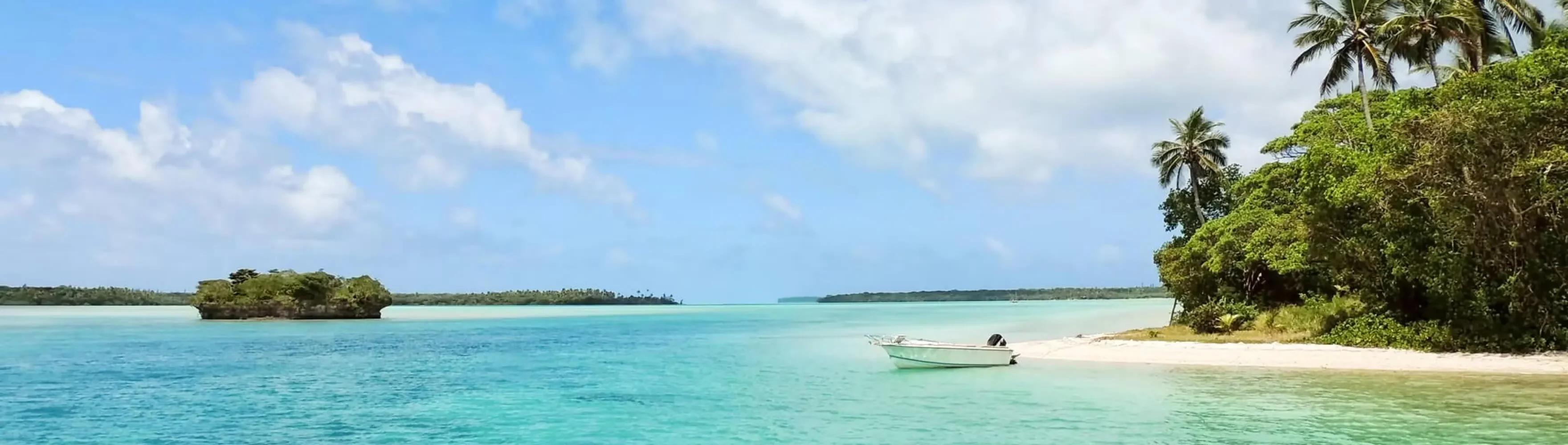 Jamaica landscape