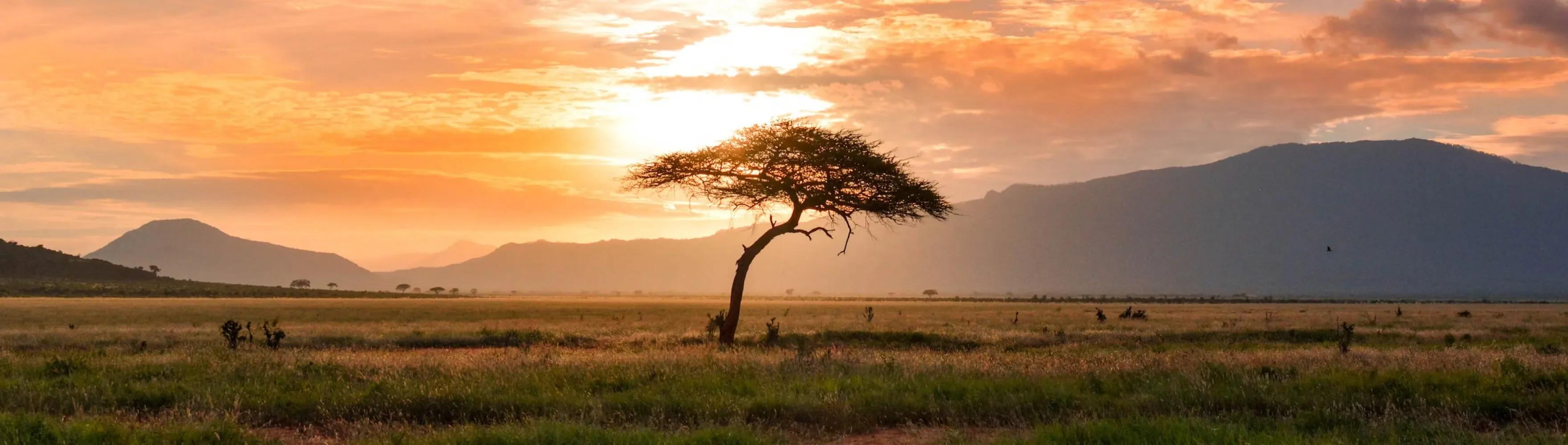 Kenya landscape