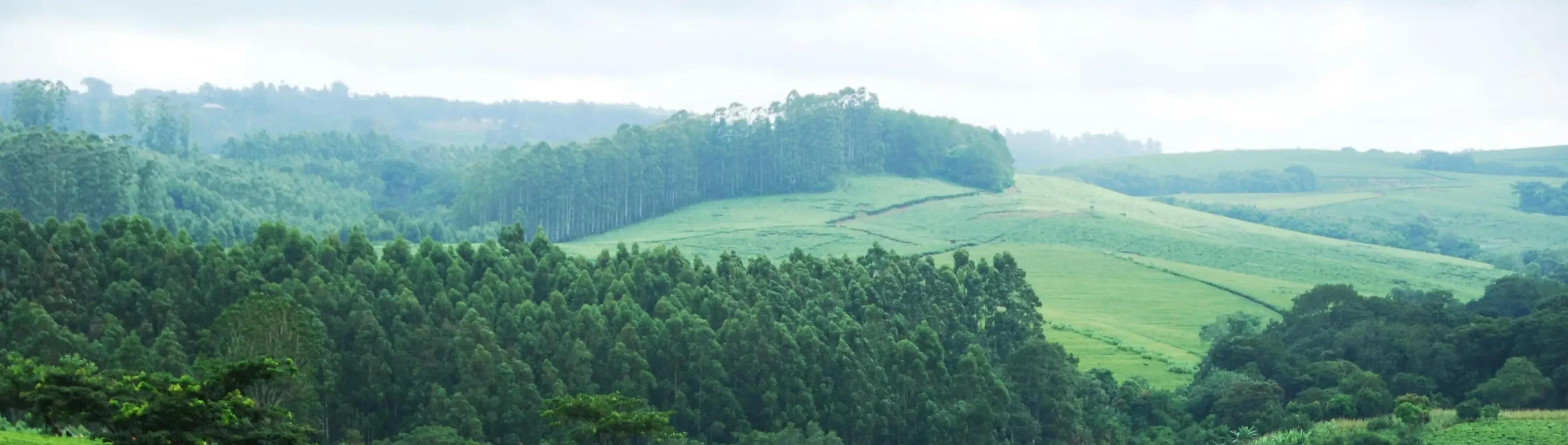 Malawi landscape