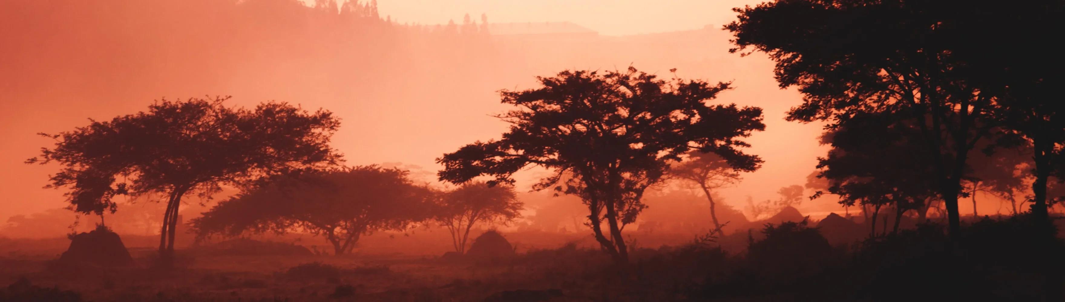 Rwanda landscape