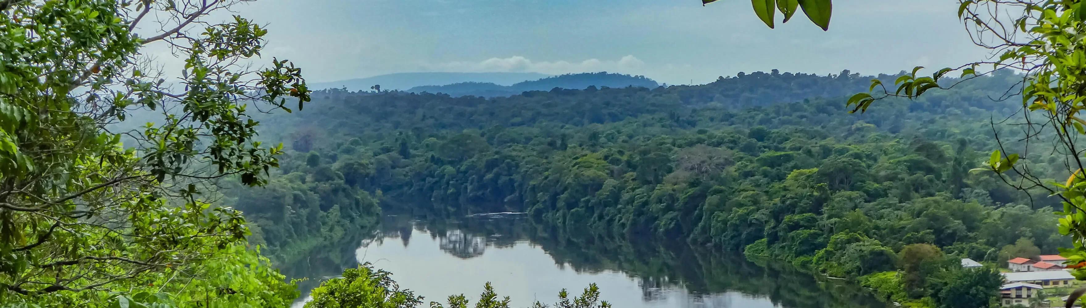 Suriname landscape