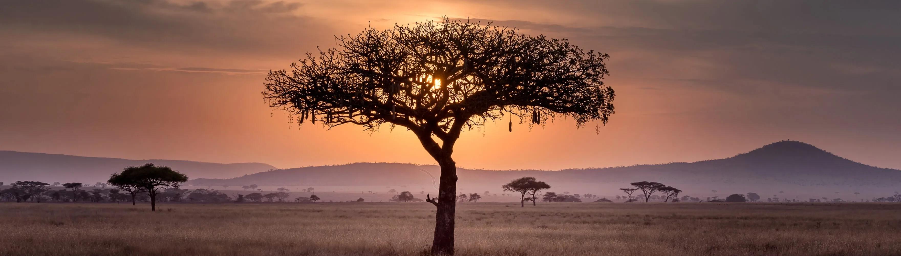 Tanzania landscape