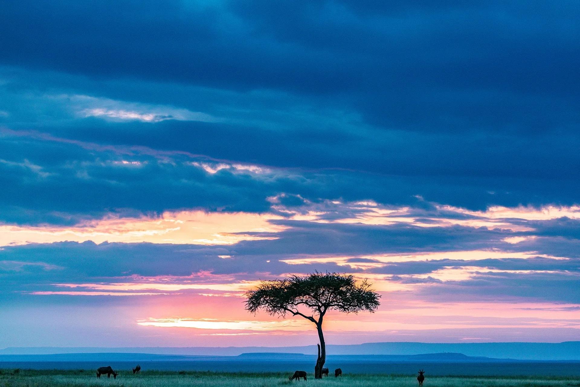 Africa landscape