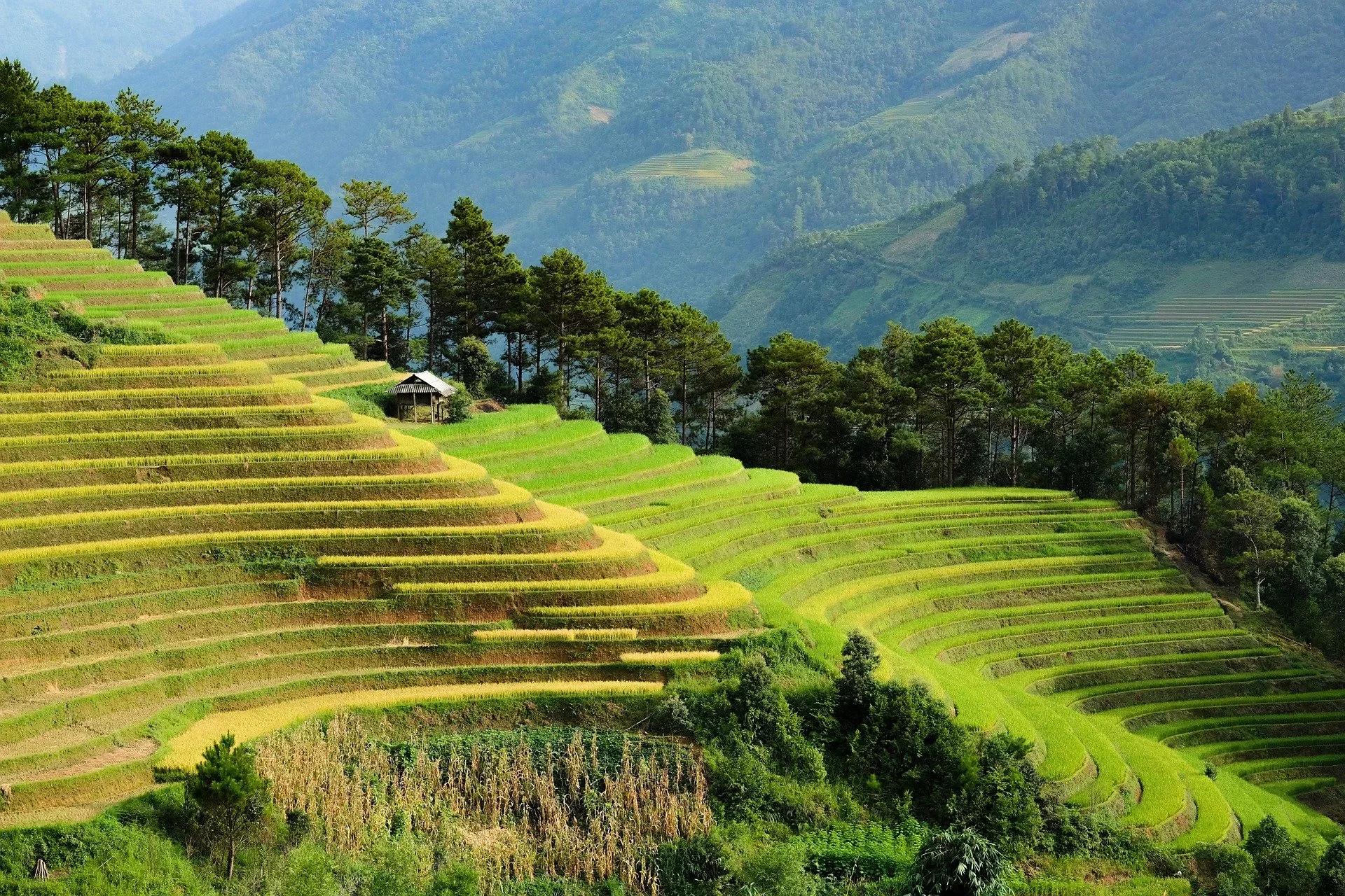 Asia landscape